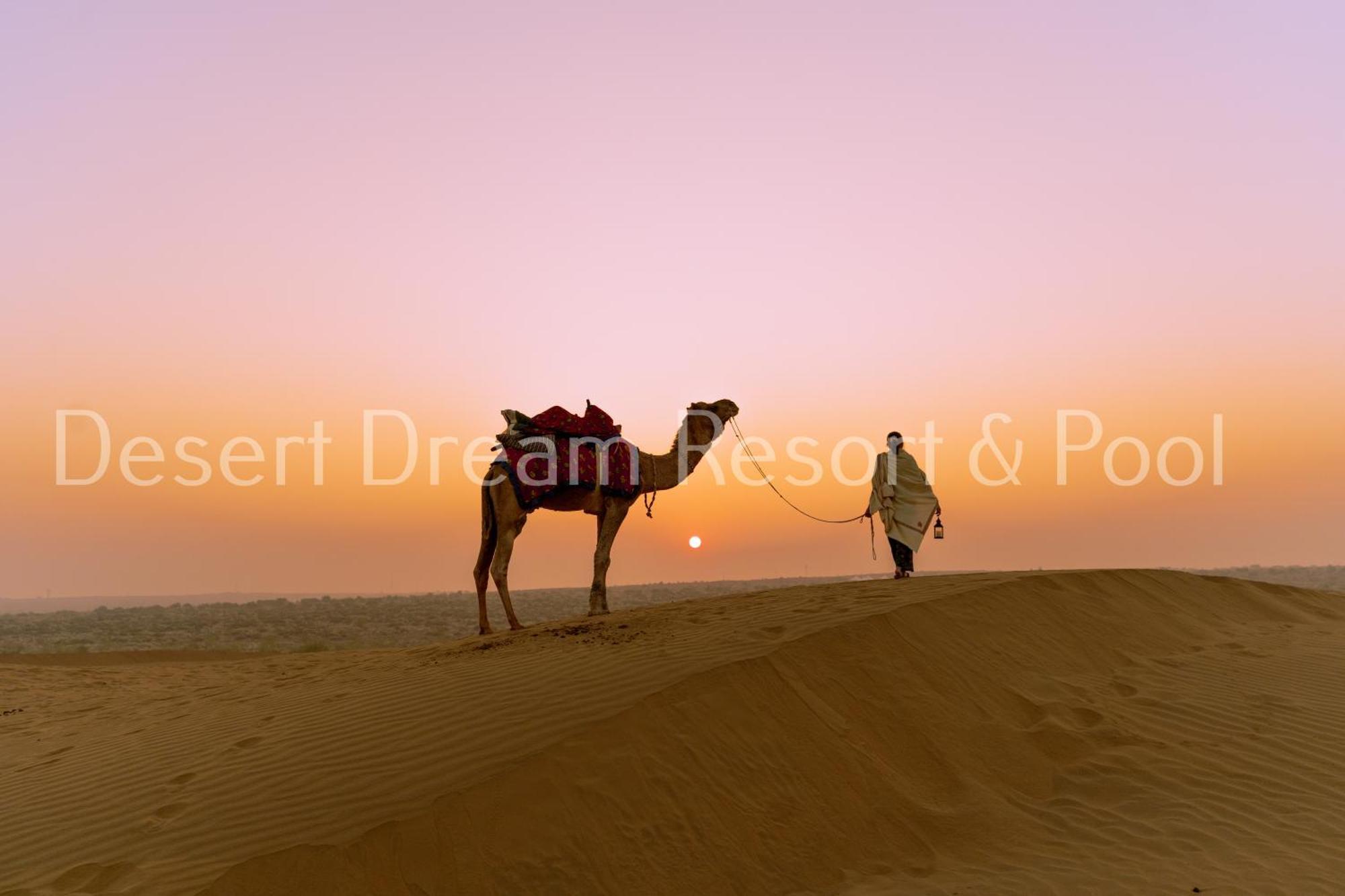 Desert Dream Royal Camp & Pool Джайсалмер Экстерьер фото